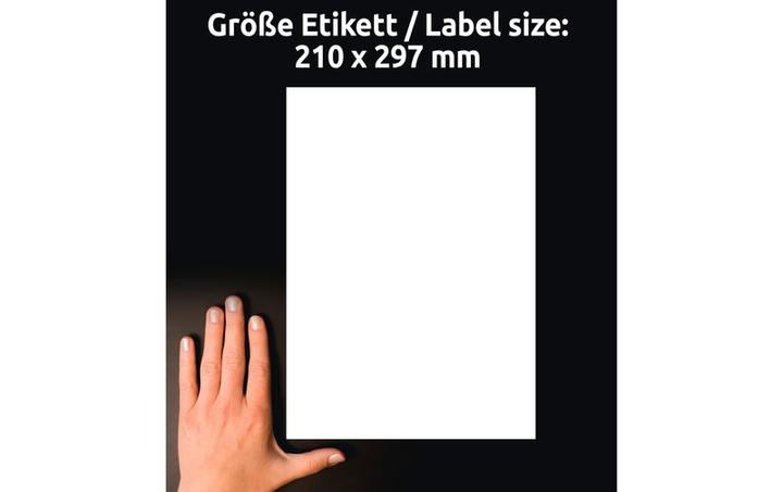 Actual product image Avery AVZ L8001-10 Antimicrobial labels 210x297mm weiss