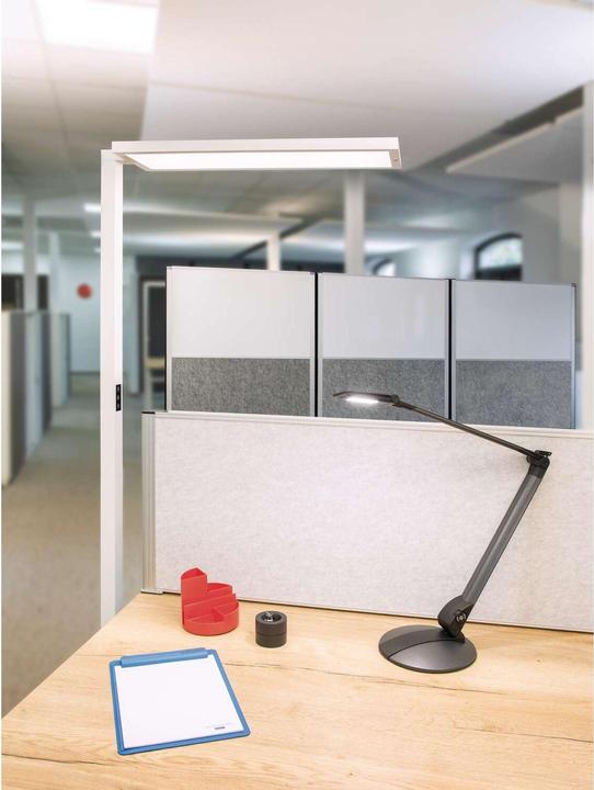 Actual product image Maul LED floor lamp MAULsenja, dimmable, motion/light sensor - white (15150 lm)