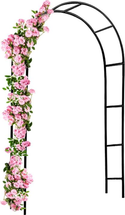 Deuba Rose arch (240 cm, 140 cm)