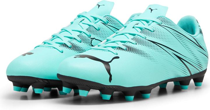 Produktbild Puma Attacanto FG/AG (42)