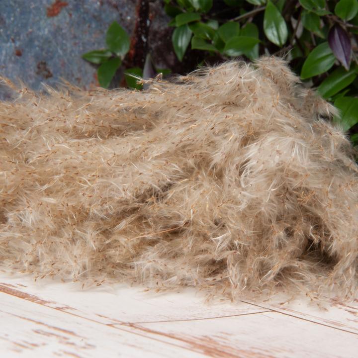 Actual product image Natura Punto Pampas grass (Pampas grass)