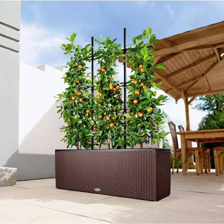 Image du produit Lechuza Trio Cottage (32 cm)