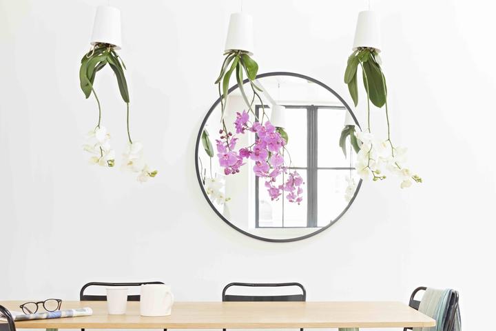 Produktbild boskke Sky Planter hängender Pflanzentopf mit Wasserspeicher