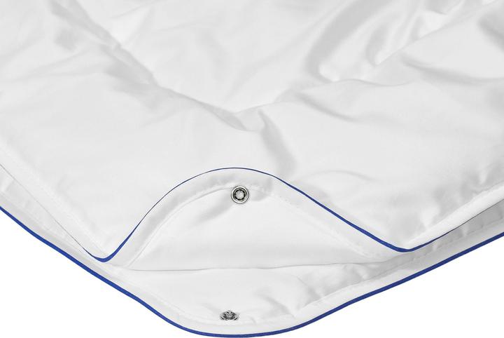 Produktbild Irisette 4-Jahreszeiten-Bett (1050 g, 200x200 cm)