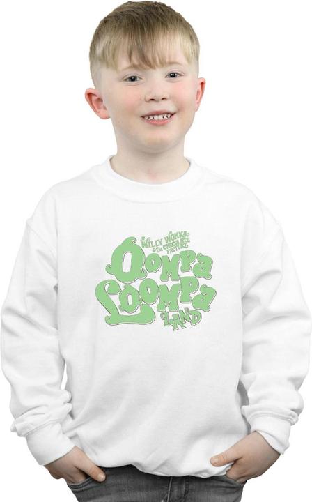 Produktbild Willy Wonka & the Chocolate Factory Oompa Loompa Land Sweatshirt Jungen (152, 158)