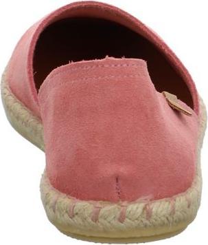 Actual product image Verbenas Carmen (41)