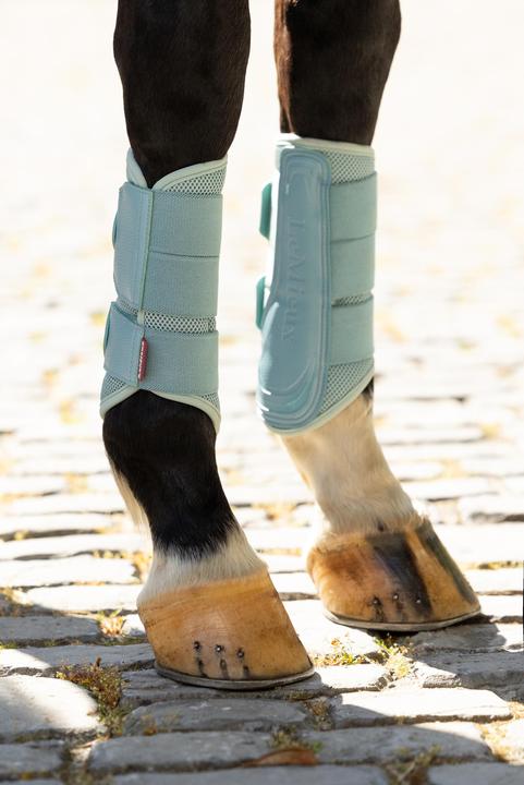 Produktbild LeMieux Arika (M)