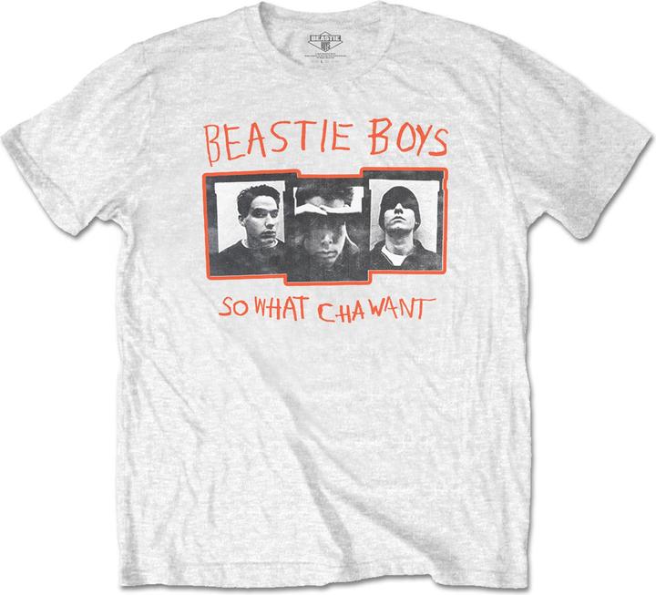 The  Beastie Boys So What Cha Want