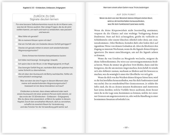 Produktbild Boundary Boss (Deutsch, Terri Cole, 2024)