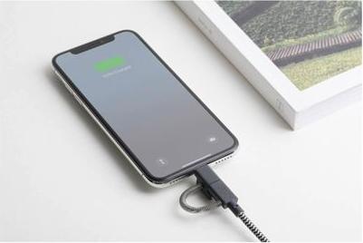Image du produit Native Union Cable (2 m, USB 3.1)