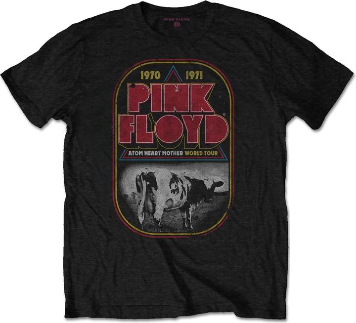 Pink Floyd Ahm Tour