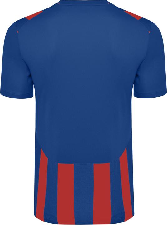 Actual product image Umbro Ramone Jersey (146, 152)