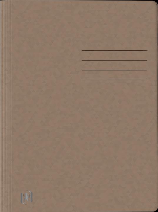 Actual product image Oxford TOP FILE+ loose-leaf binder, A4 (A4, 1 x)