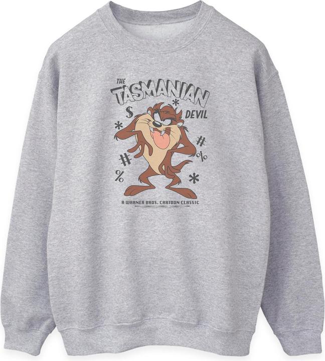 Actual product image Looney Tunes Womens/Ladies Tasmanian Devil Vintage Heather Sweatshirt (S)