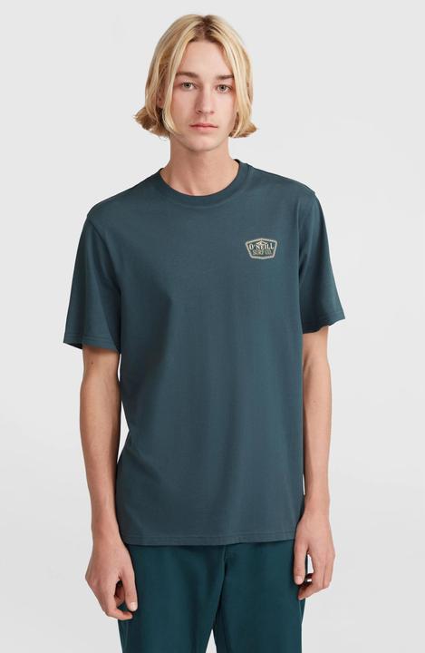 Actual product image O'Neill t-shirt o'nei sma chest print (L)