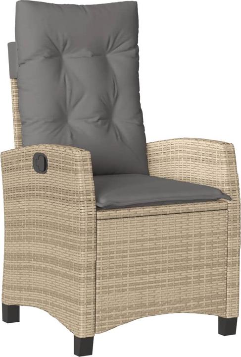 Image du produit VidaXL Karamba (160 cm)