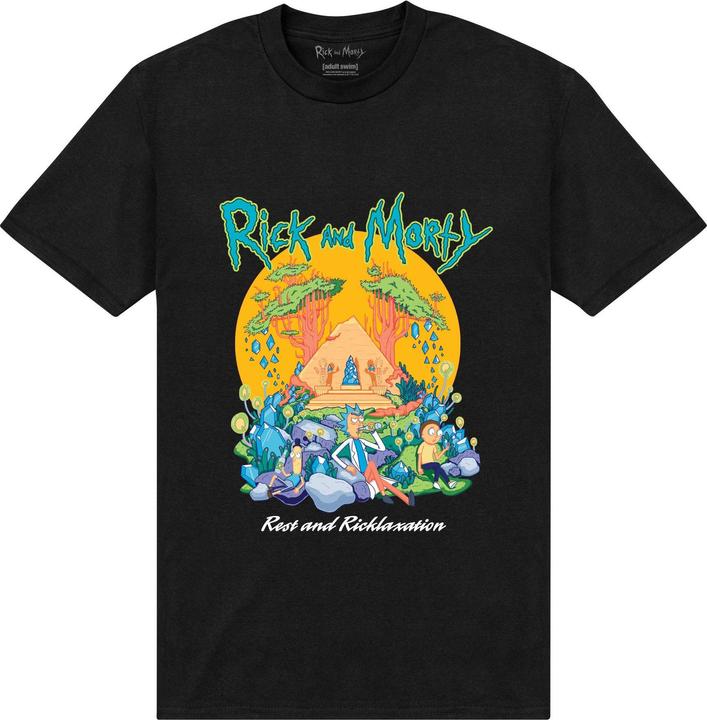 Actual product image Rick And Morty Unisex Adult Pyramid T-Shirt (M)