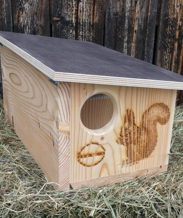 Produktbild Arbrikadrex Eichhörnchen Futterhaus