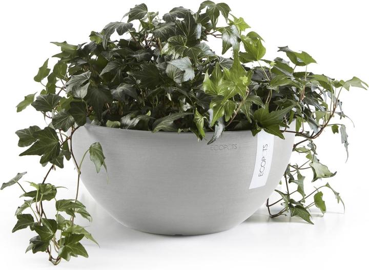 Image du produit Ecopots Bruxelles (25 cm)
