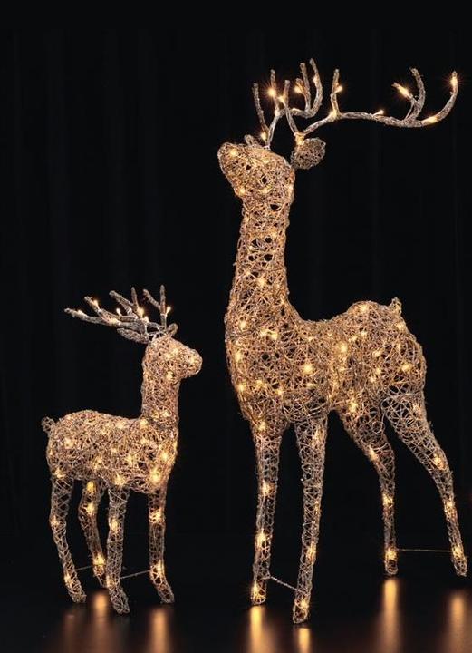 Actual product image STT Deer