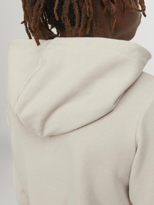 Image du produit Jack & Jones Sweat à capuche garçon (164)
