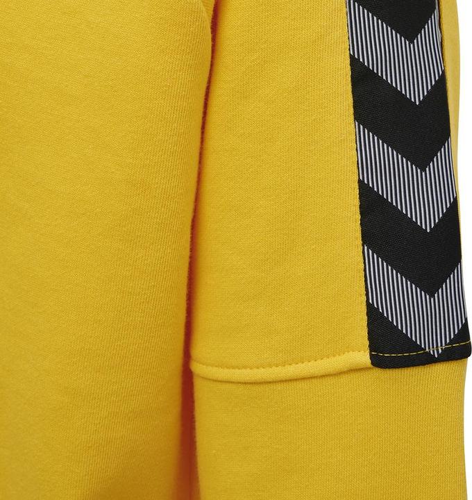 Produktbild hummel Authentic Kids Training Sweat (164)