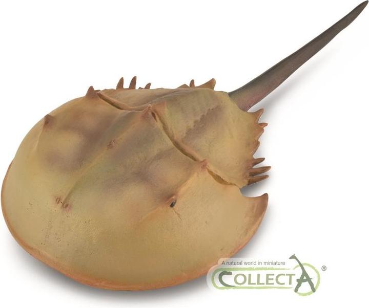 Immagine prodotto Collecta Figura Granchio a ferro di cavallo XL