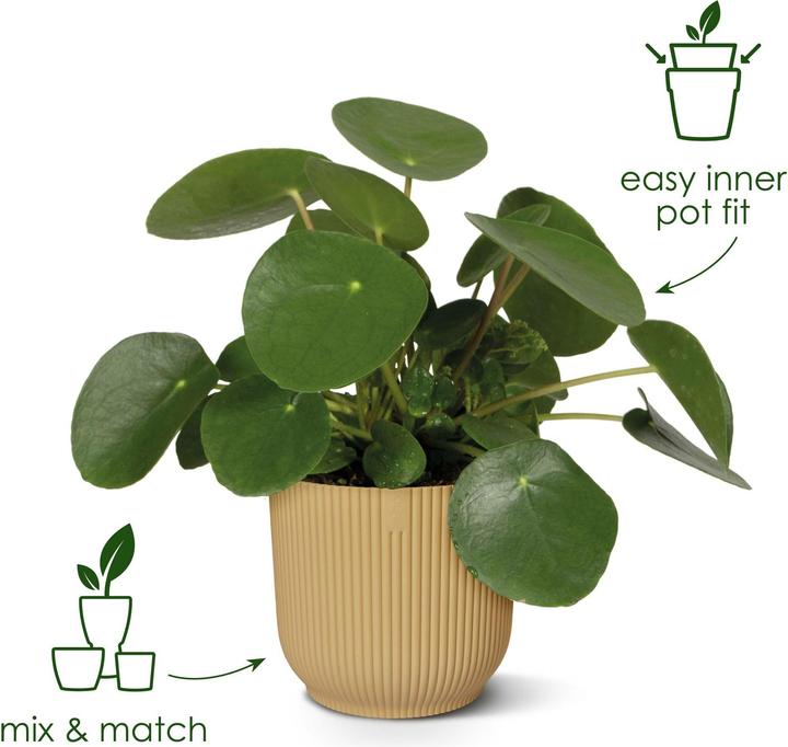 Produktbild Elho Vibes Fold (25 cm)