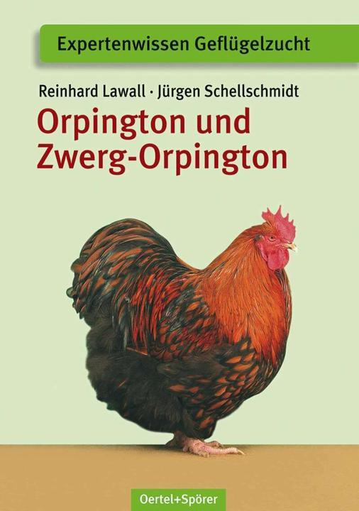Immagine prodotto Orpington und Zwerg-Orpington (Tedesco, Jürgen Schellschmidt, Reinhard Lawall, 2023)