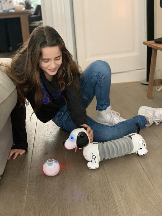 Image du produit Silverlit Robot Teckel
