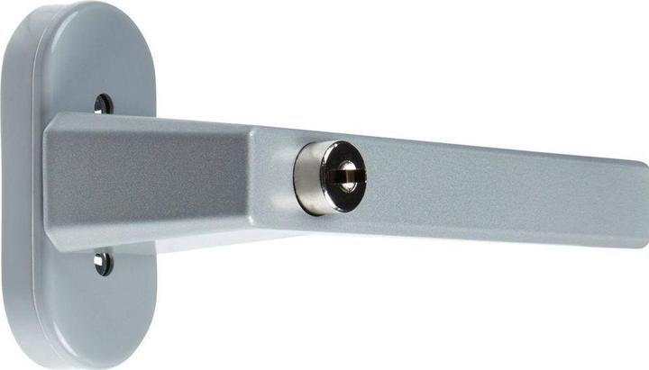 Produktbild Abus Fenstergriff FG110 grau
