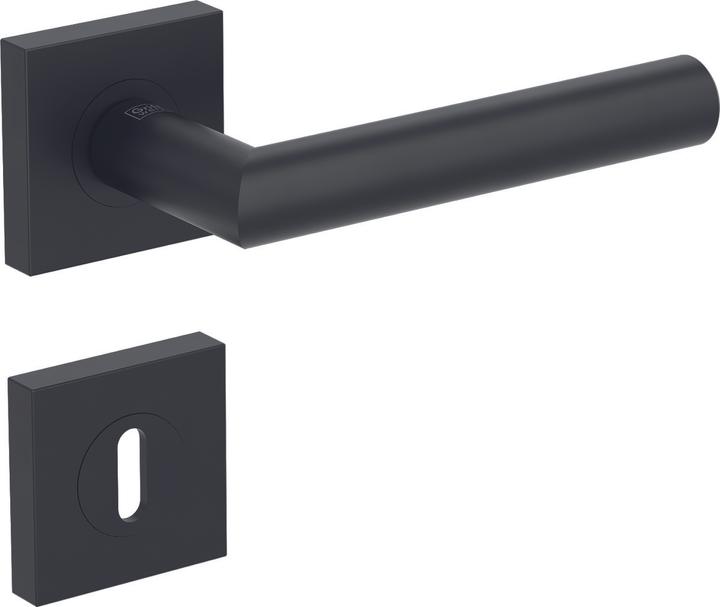 Actual product image Griffwerk Türdrücker-Grt.PZ Lucia Prof. quad. schw (Door handle)