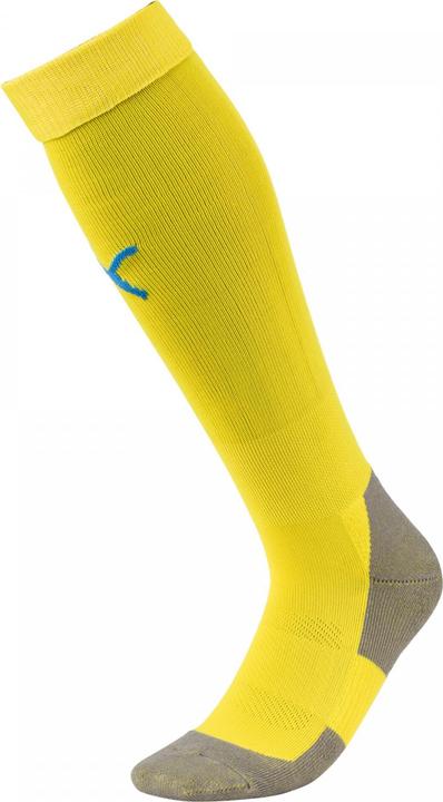 Actual product image Puma Team LIGA Socks CORE-703441 (43, 46)