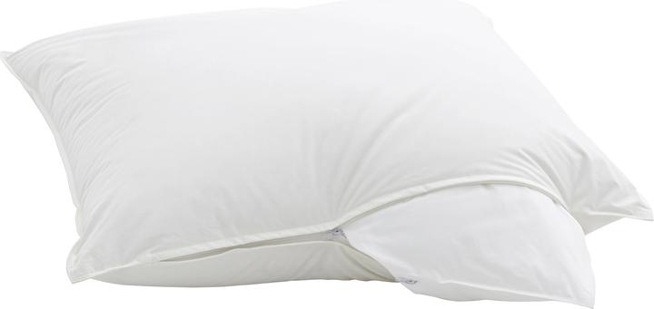 Image du produit Billerbeck Casa Nature (65 x 65 cm)