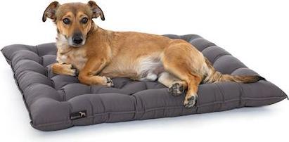 Actual product image Pointer Urban dog cushion (Dog)