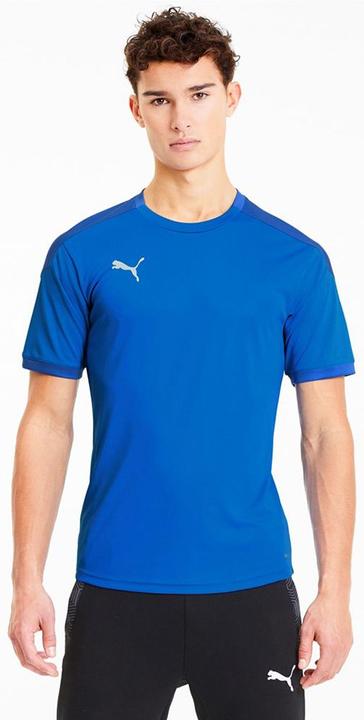 Actual product image Puma teamFINAL 21 Training Jersey-656481 (M)
