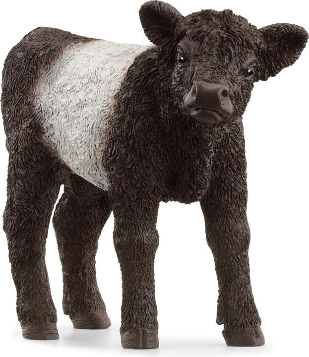 Schleich Veau Galloway