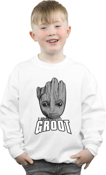 Produktbild Guardians Of The Galaxy Groot Face Sweatshirt Jungen (152, 158)