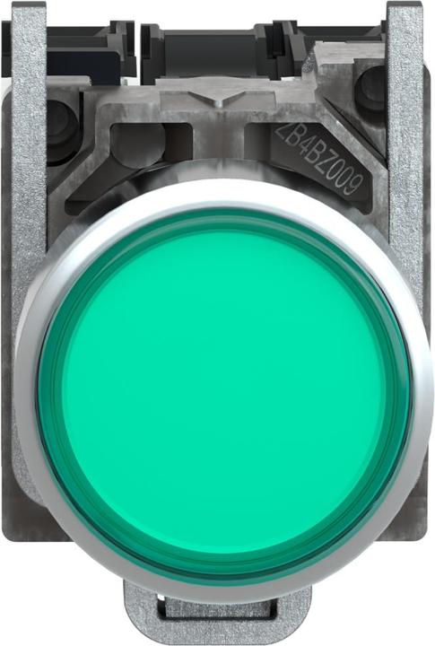 Immagine prodotto Schneider Electric Pulsante XB4BW33G5