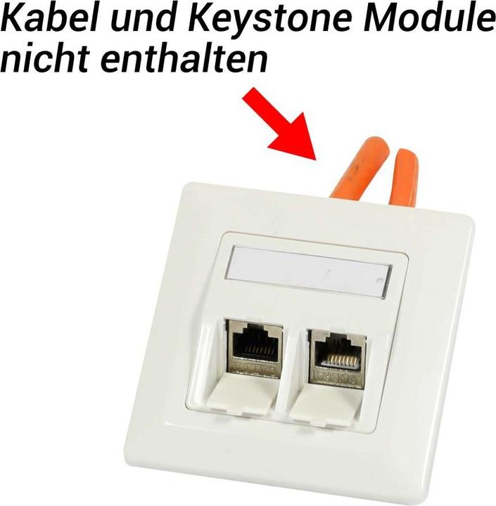 Actual product image Synergy 21 Keystone, module support, flush-mounted boxes for 2xTP module, pure white, angular outer frame