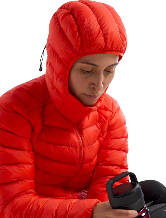 Actual product image Arc'teryx Cerium Hoodie (M)