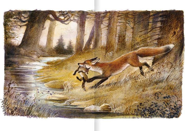Produktbild Der Findefuchs (Deutsch, Irina Korschunow, 2021)
