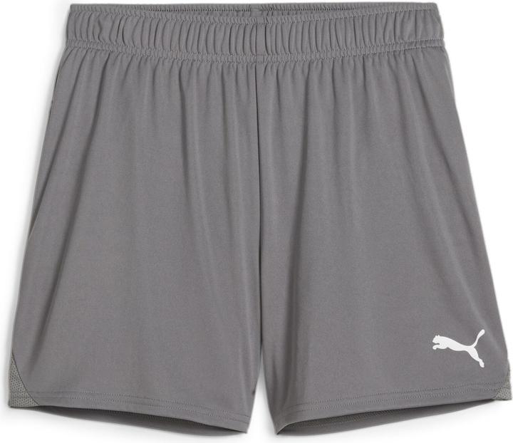 Puma teamGOAL Handball Shorts W