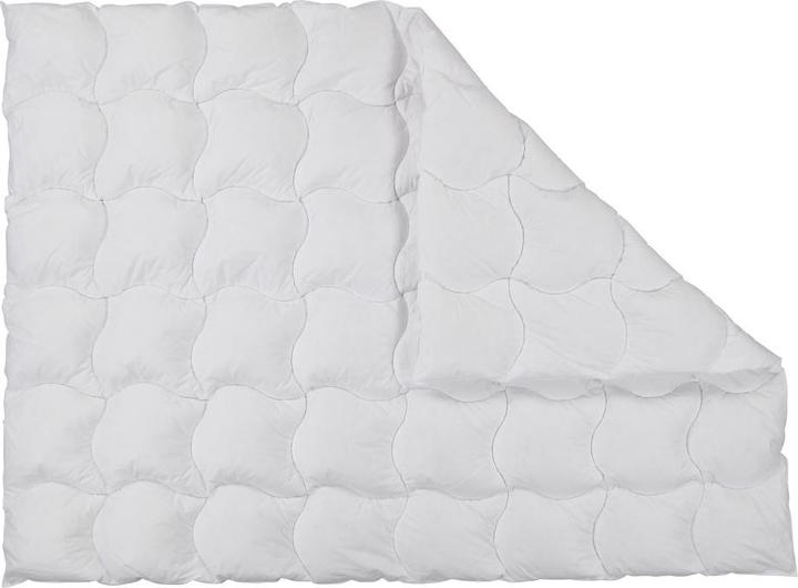 Produktbild Albis Caro Arven (840 g, 200 x 210 cm)