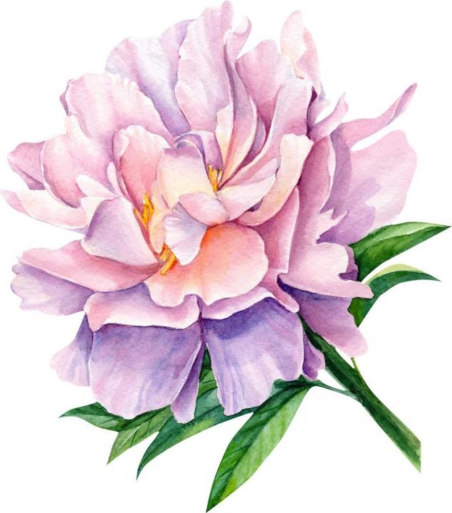 Image du produit Trenddeko Pivoine XXL (90 x 100 cm)