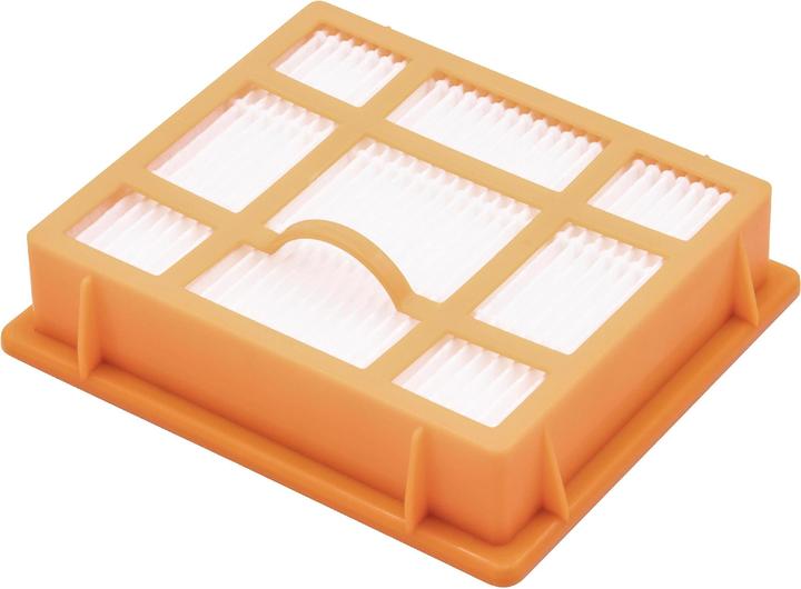 Actual product image AccuCell Hoover filter for hoovers like AEG AEF 139, Hepa filter, plastic / microfleece