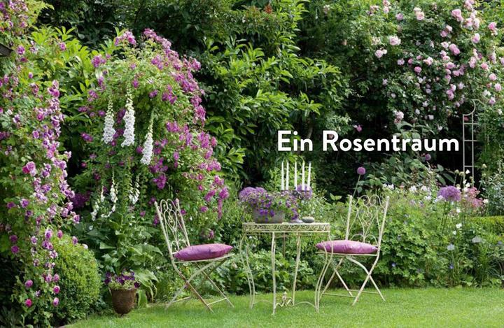Actual product image Verrückt nach Garten. Ideen und Erfahrungen kreativer Gärtner (German, Manfred Lucenz, Klaus Bender, 2020)