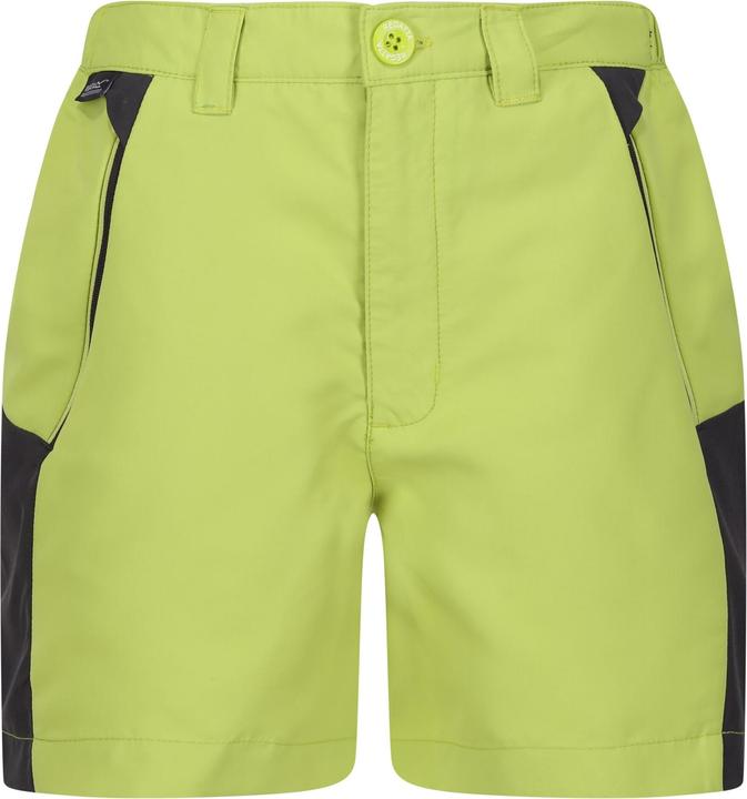 Actual product image Regatta Childrens/Kids Sorcer Mountain III Shorts (170, 176)