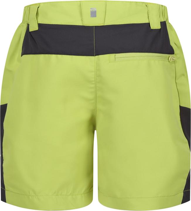 Actual product image Regatta Childrens/Kids Sorcer Mountain III Shorts (170, 176)
