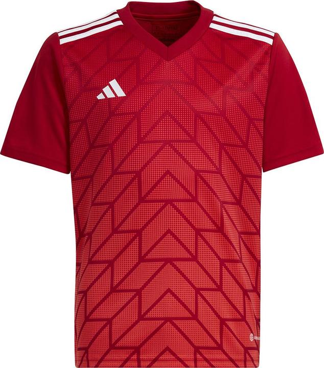 Produktbild adidas Team Icon 23 Trikot (128)